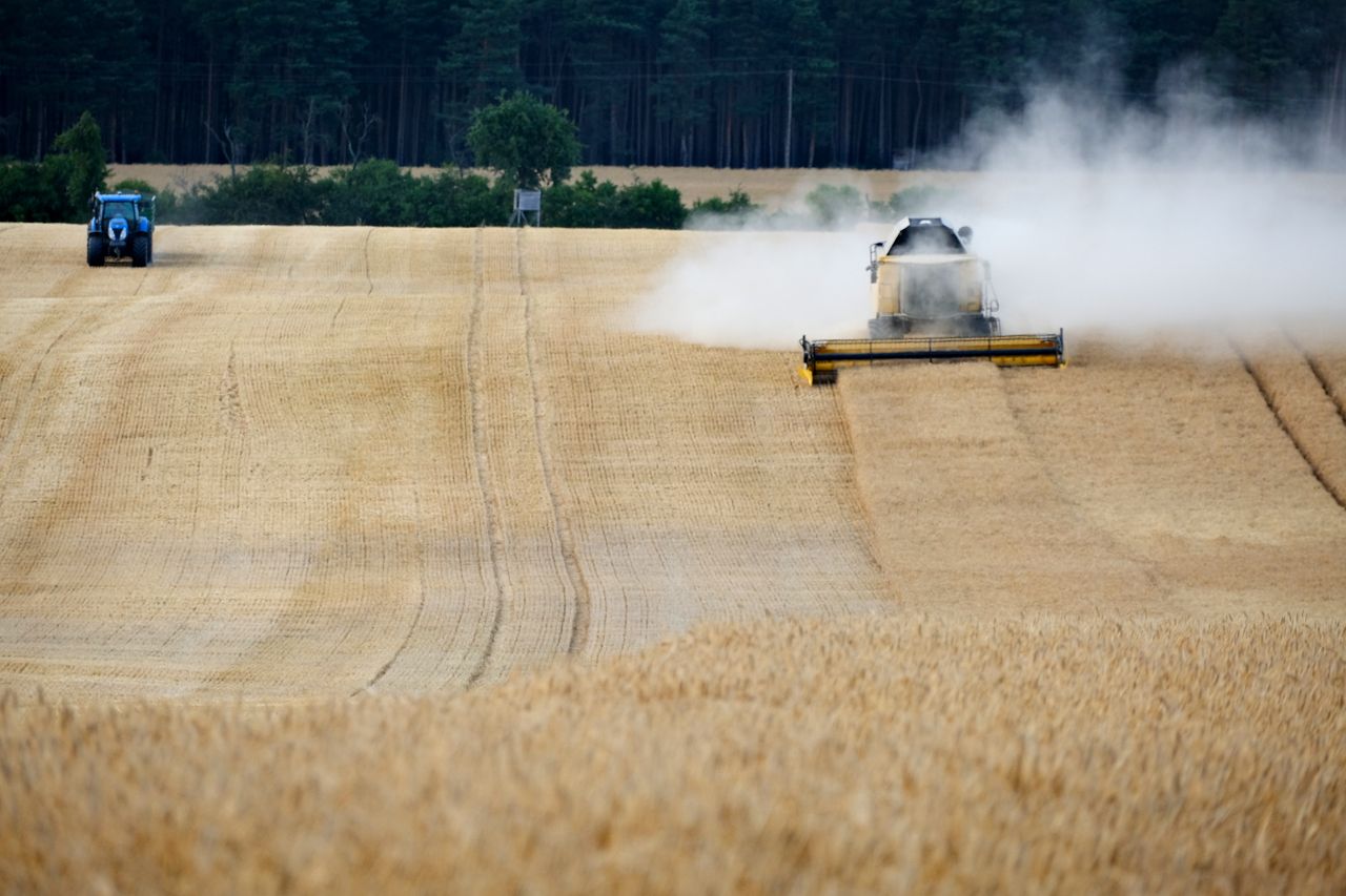 Harvesting wheat with tractor and combine harvester under clear skies.